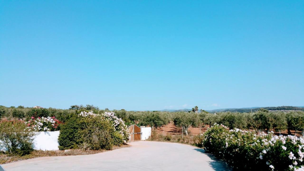 Villa Rafael Con Piscina, Iun P4098 Alghero Eksteriør billede